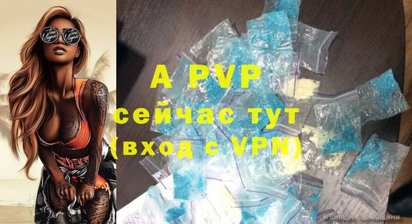 ГАЛЛЮЦИНОГЕННЫЕ ГРИБЫ Вяземский