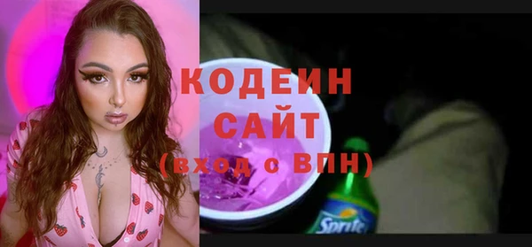 ГАЛЛЮЦИНОГЕННЫЕ ГРИБЫ Вяземский
