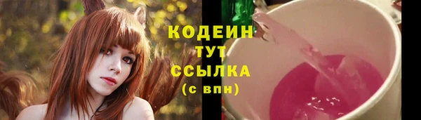 ГАЛЛЮЦИНОГЕННЫЕ ГРИБЫ Вяземский