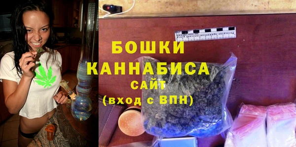 ГАЛЛЮЦИНОГЕННЫЕ ГРИБЫ Вяземский