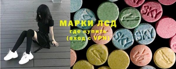 индика Волосово