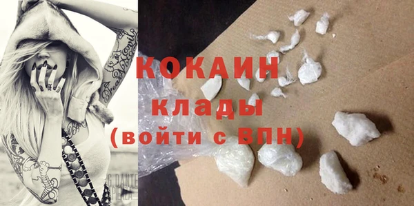 ГАЛЛЮЦИНОГЕННЫЕ ГРИБЫ Вяземский