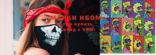 ГАЛЛЮЦИНОГЕННЫЕ ГРИБЫ Вяземский