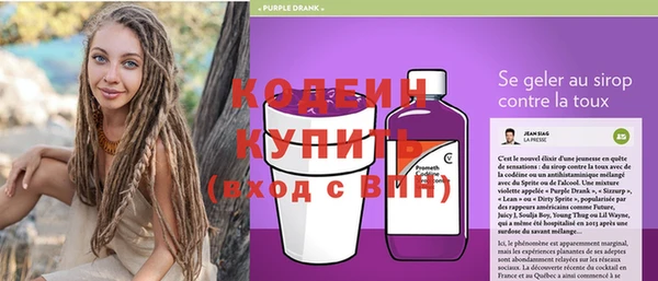 ГАЛЛЮЦИНОГЕННЫЕ ГРИБЫ Вяземский
