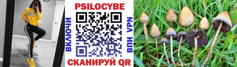 Псилоцибиновые грибы Magic Shrooms  Карасук 